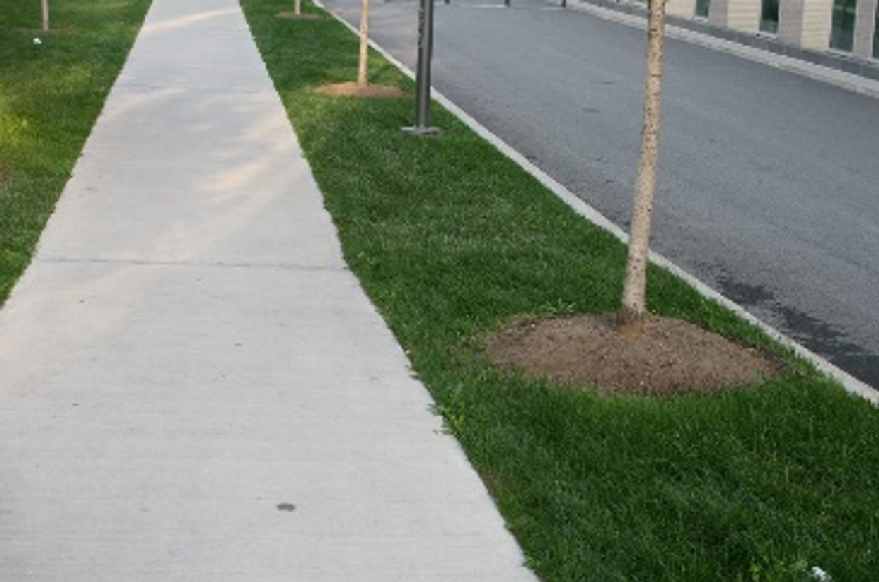 Image of sidewalk